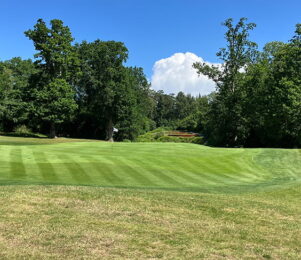 Golf Day 2026